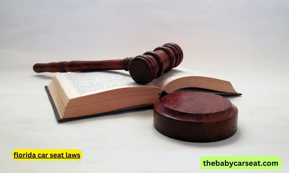 florida car seat laws