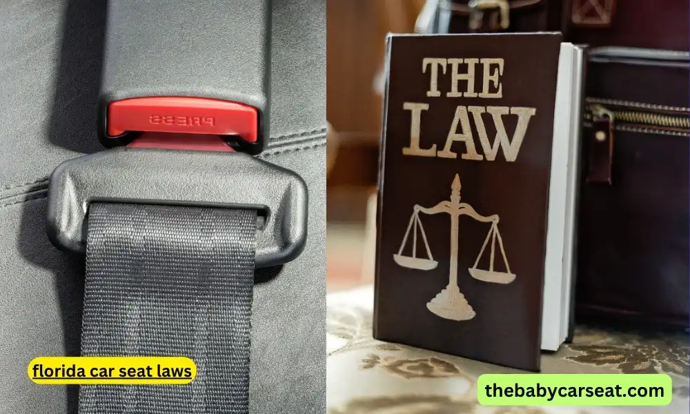 florida car seat laws