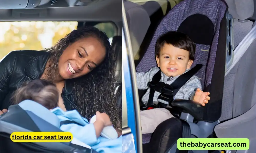 florida car seat laws